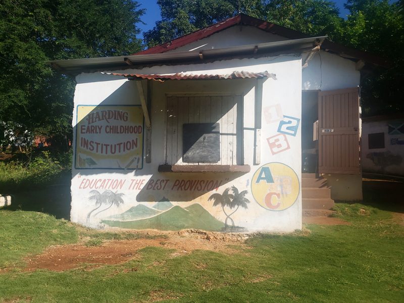 Victoria Town Primary - school
